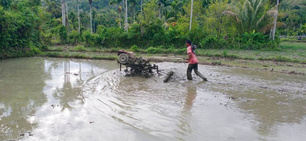 KEGIATAN PERTANIAN GARAP SAWAH