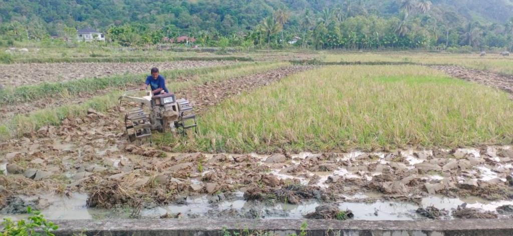 KEGIATAN PERTANIAN GARAP SAWAH